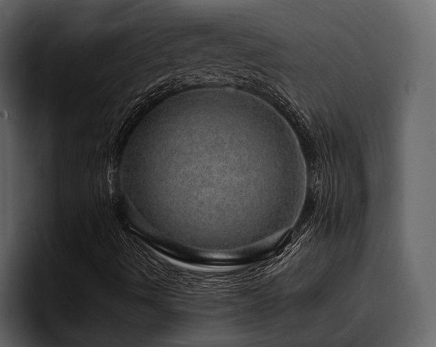 X0000095951490200801111339