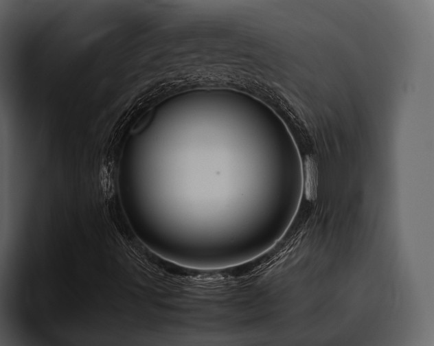 X0000095951491200801111339