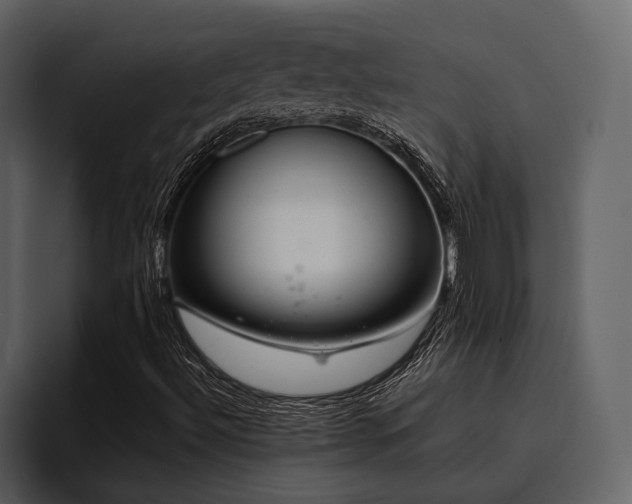 X0000095951492200801111339
