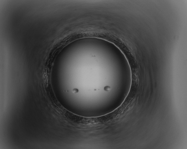 X0000095951493200801111339