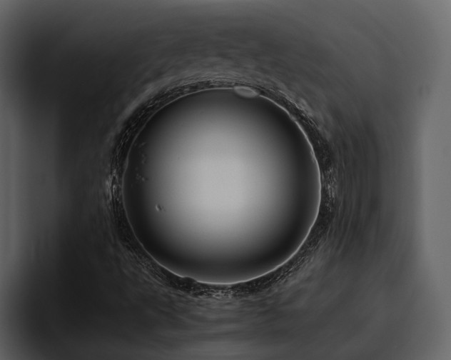 X0000095951495200801111339