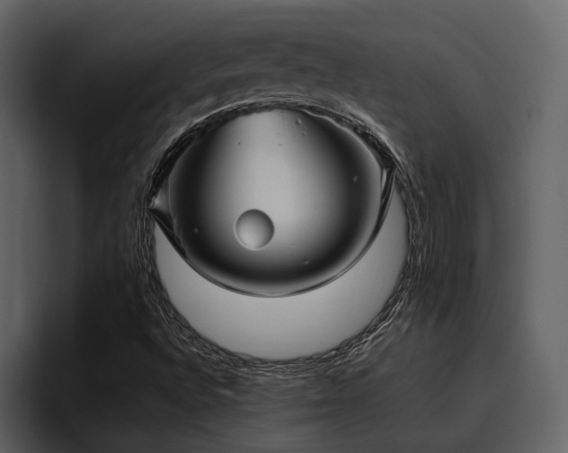 X0000095951496200801111339