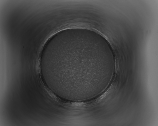 X0000095951498200801111339
