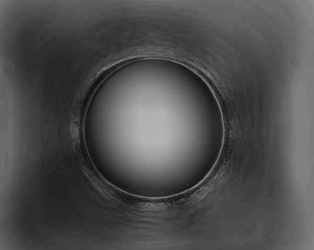 X0000095951499200801111339
