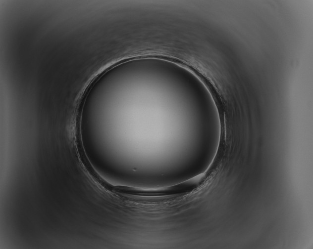 X0000095951500200801111339