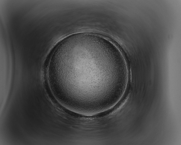 X0000095951501200801111339