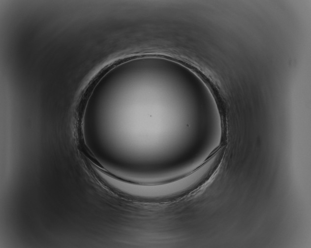 X0000095951502200801111339