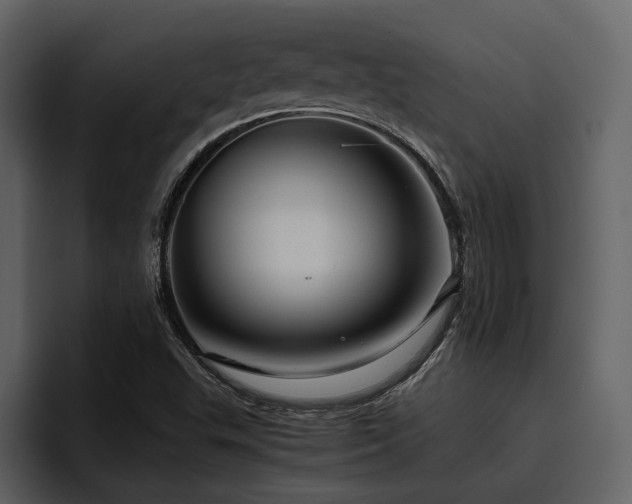 X0000095951503200801111339