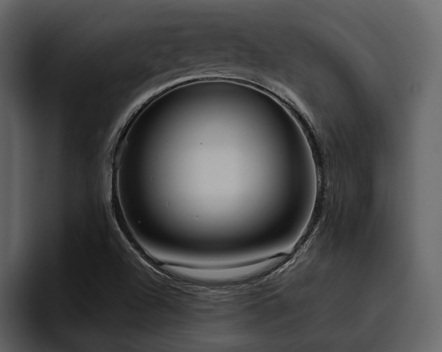 X0000095951504200801111339