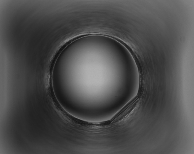X0000095951507200801111339