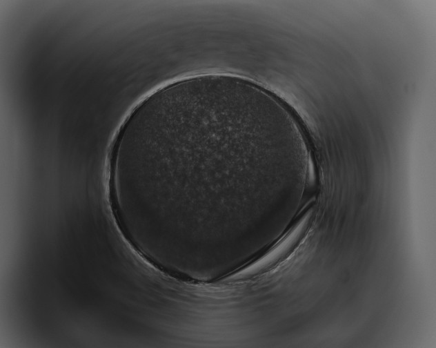 X0000095951508200801111339