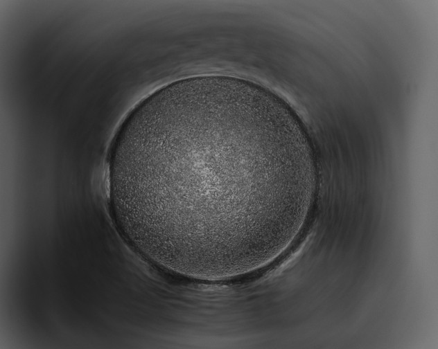 X0000095951509200801111339