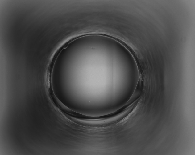 X0000095951510200801111339