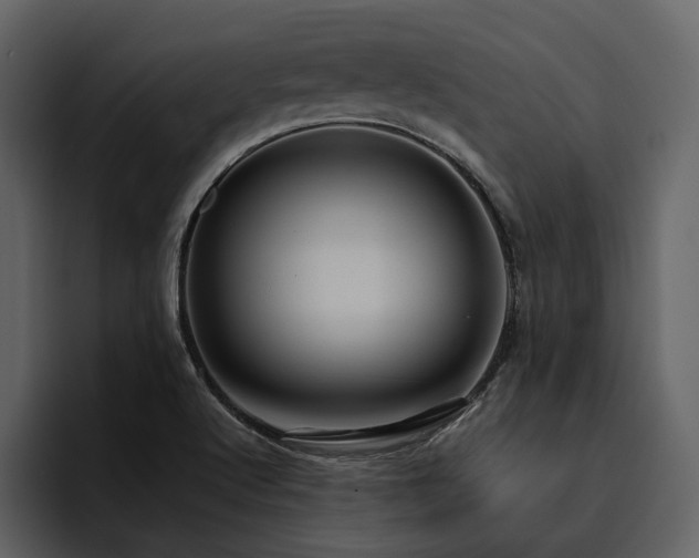X0000095951512200801111339