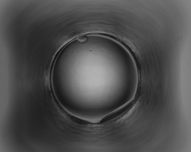X0000095951513200801111339