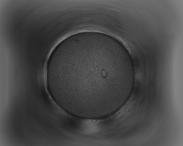 X0000095951514200801111339