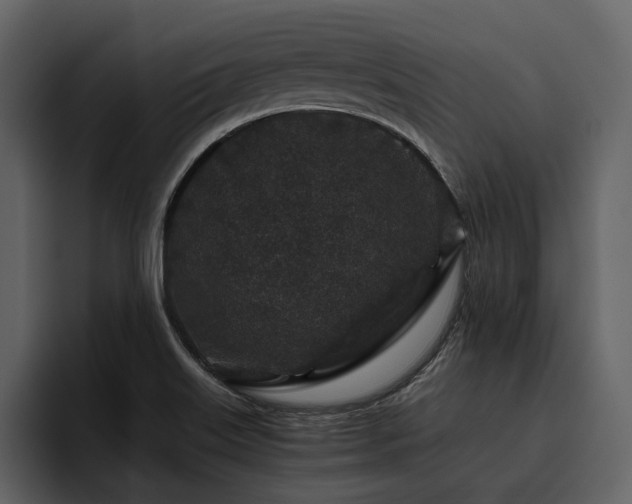 X0000095951515200801111339