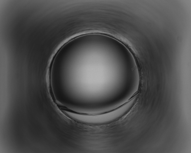 X0000095951516200801111339