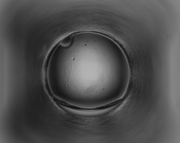 X0000095951517200801111339