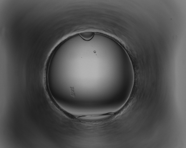 X0000095951518200801111339