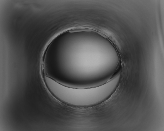 X0000095951520200801111339