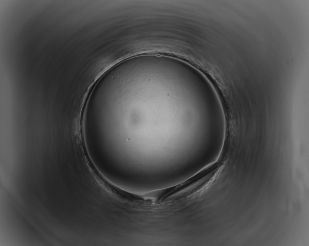 X0000095951521200801111339