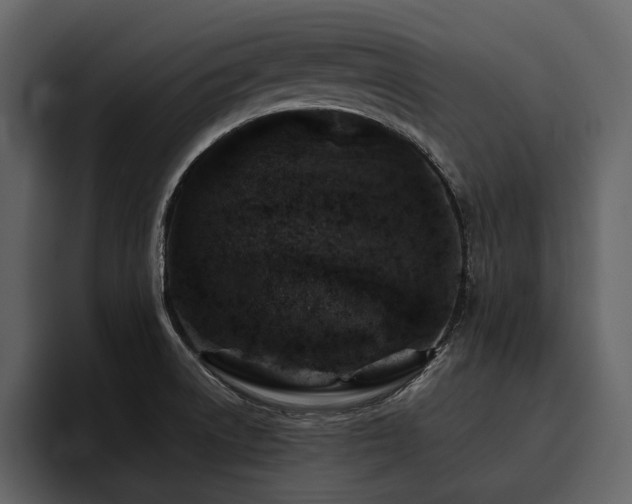 X0000095951522200801111339