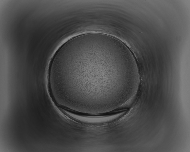 X0000095951523200801111339