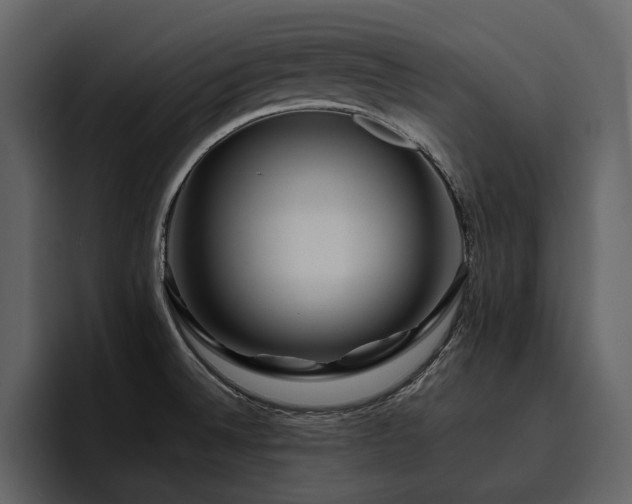 X0000095951524200801111339