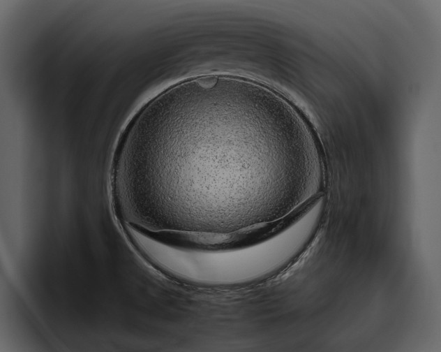 X0000095951525200801111340