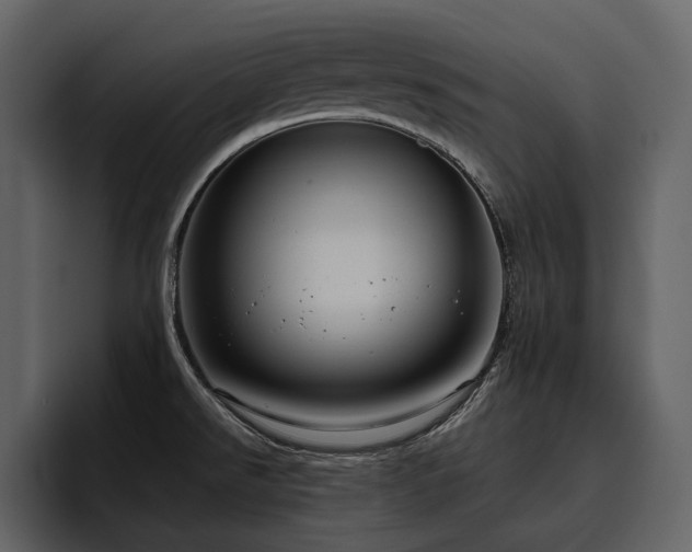 X0000095951526200801111340