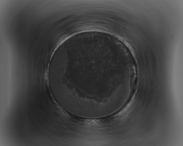 X0000095951529200801111340
