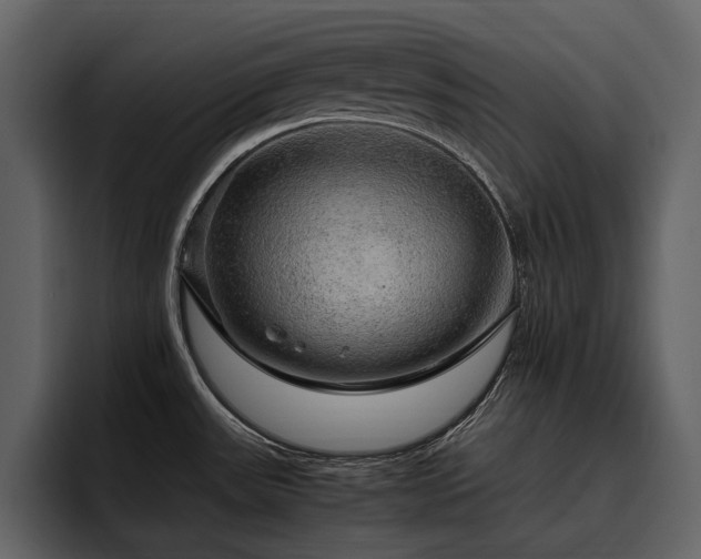 X0000095951531200801111340