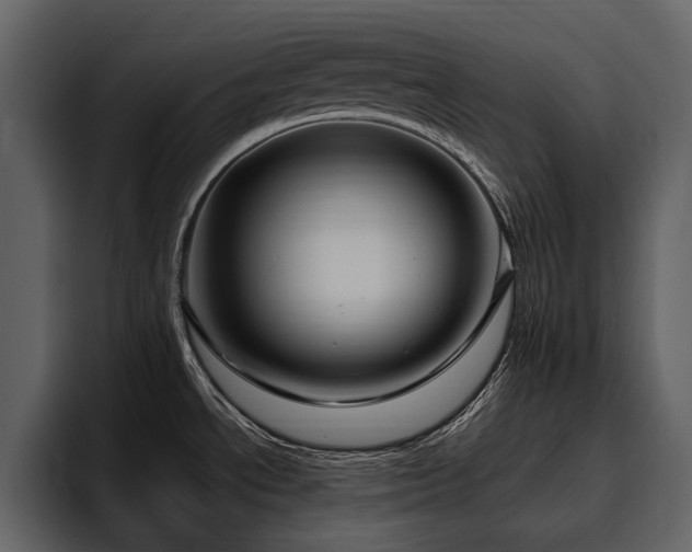 X0000095951534200801111340