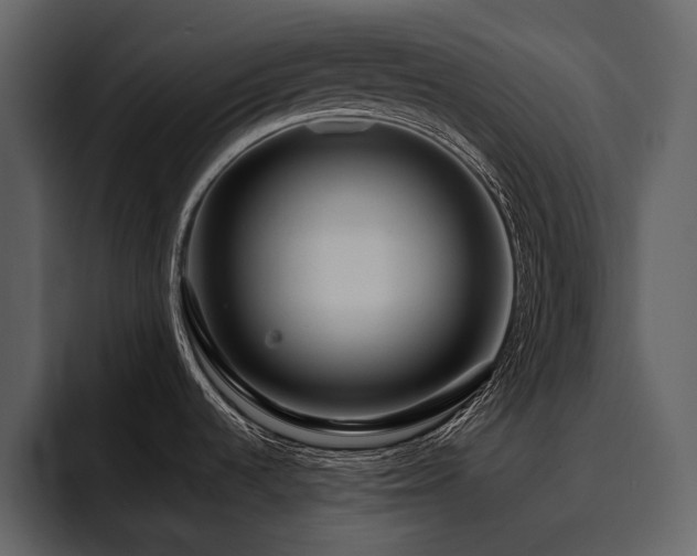 X0000095951536200801111340