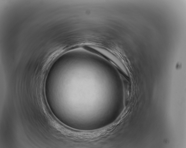 X0000095950001200801181432