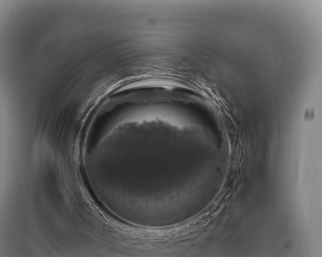 X0000095950002200801181432