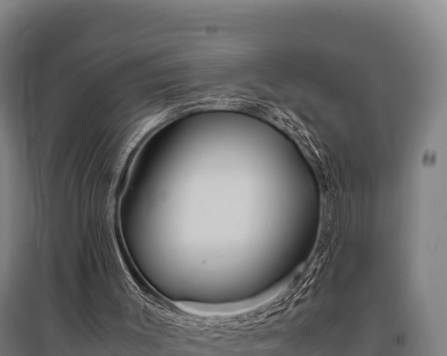 X0000095950003200801181432