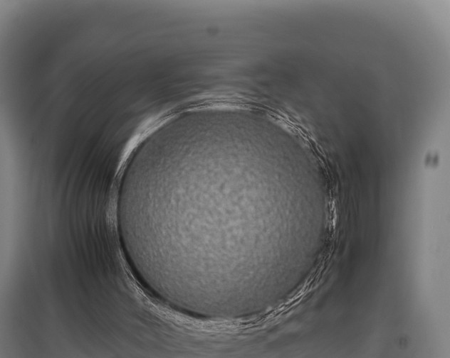 X0000095950004200801181432