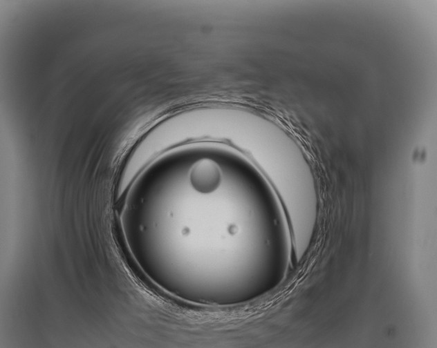 X0000095950005200801181432