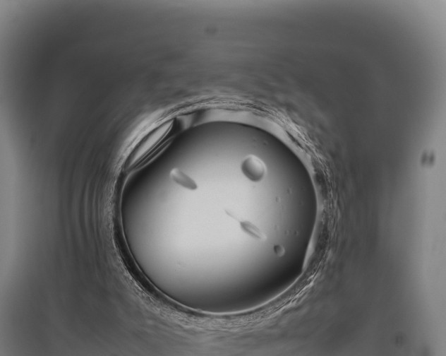 X0000095950007200801181432