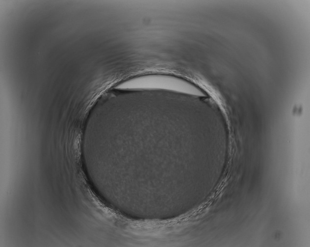 X0000095950009200801181432