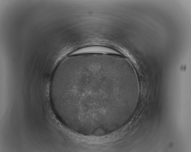 X0000095950010200801181432