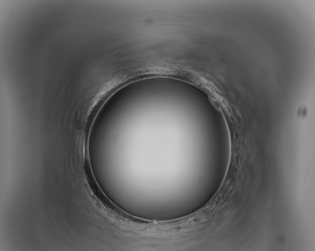 X0000095950011200801181432