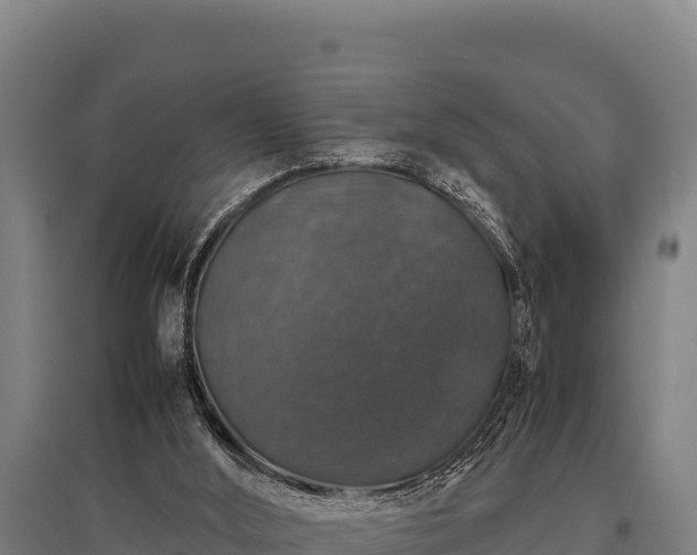 X0000095950012200801181432