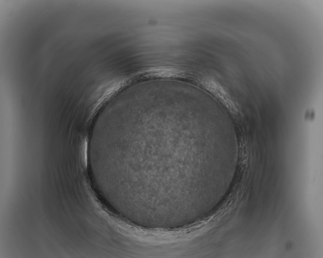 X0000095950014200801181432