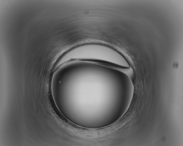 X0000095950015200801181432