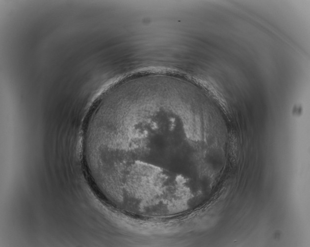 X0000095950016200801181432