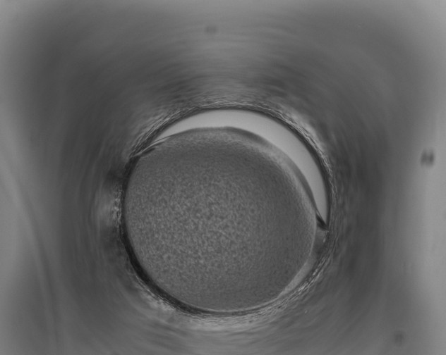 X0000095950017200801181432