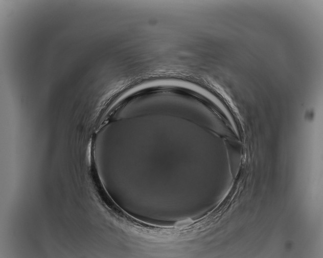 X0000095950019200801181432